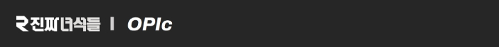 오픽 (OPIc)